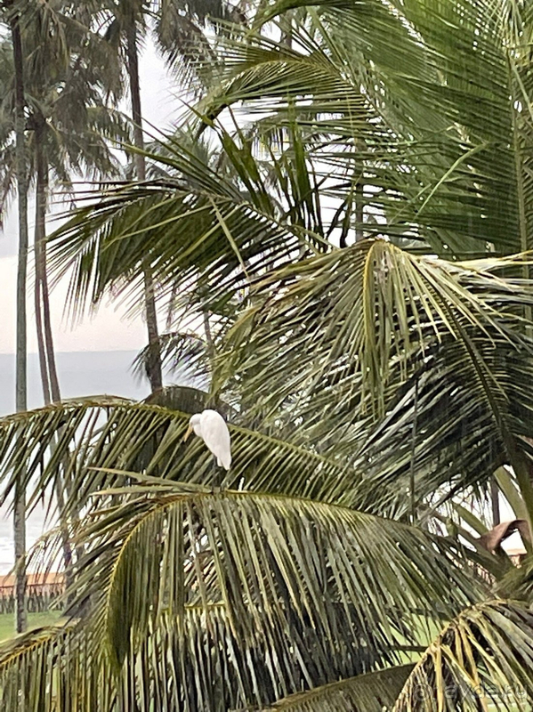 Отдых шикарный