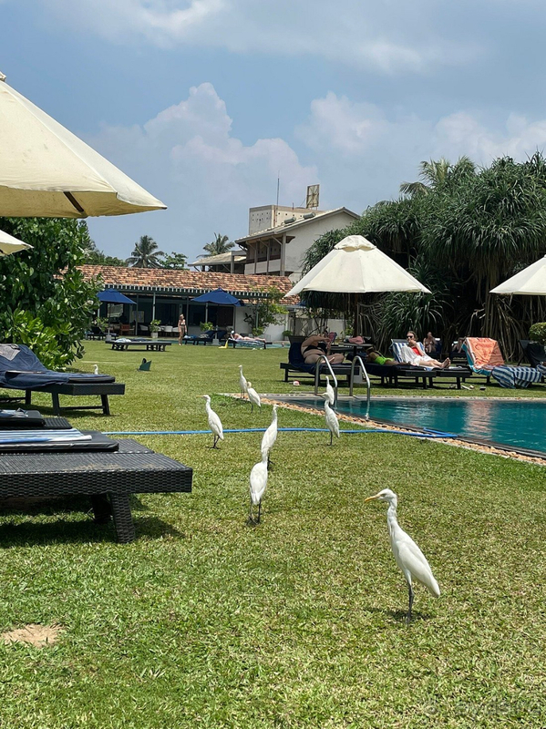 Отдых шикарный