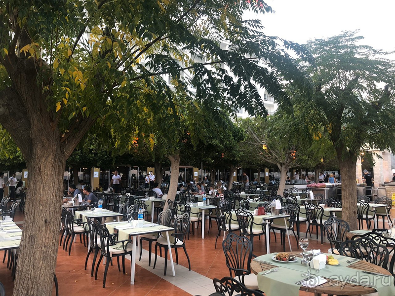 Амара впечатляет, но были и минусы