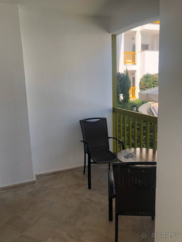 Амара впечатляет, но были и минусы