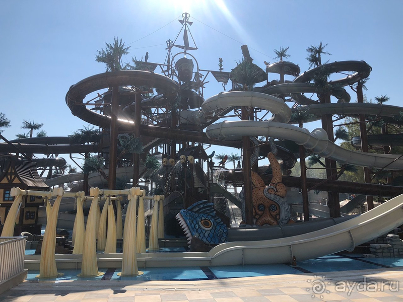 Амара впечатляет, но были и минусы