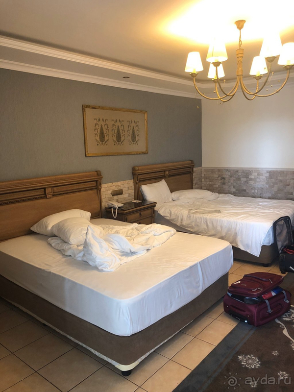 Амара впечатляет, но были и минусы