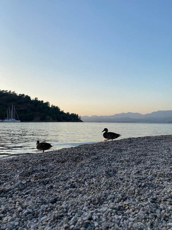 Восхитительный отель!