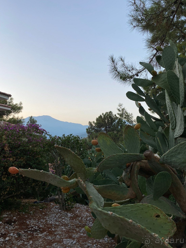 Восхитительный отель!