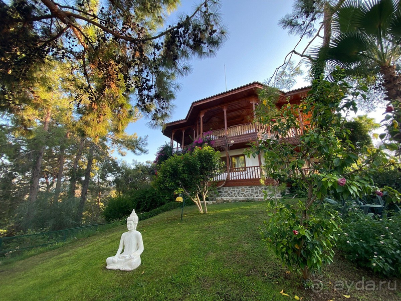 Восхитительный отель!