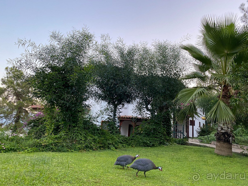 Восхитительный отель!