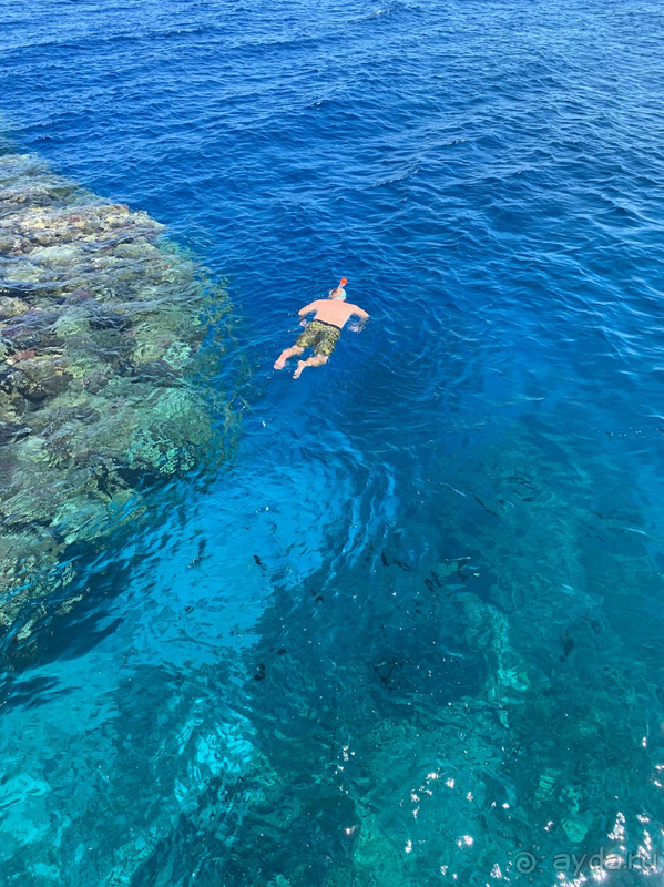 Как всегда прекрасно отдохнули в отеле сети TUI MAGIC LIFE