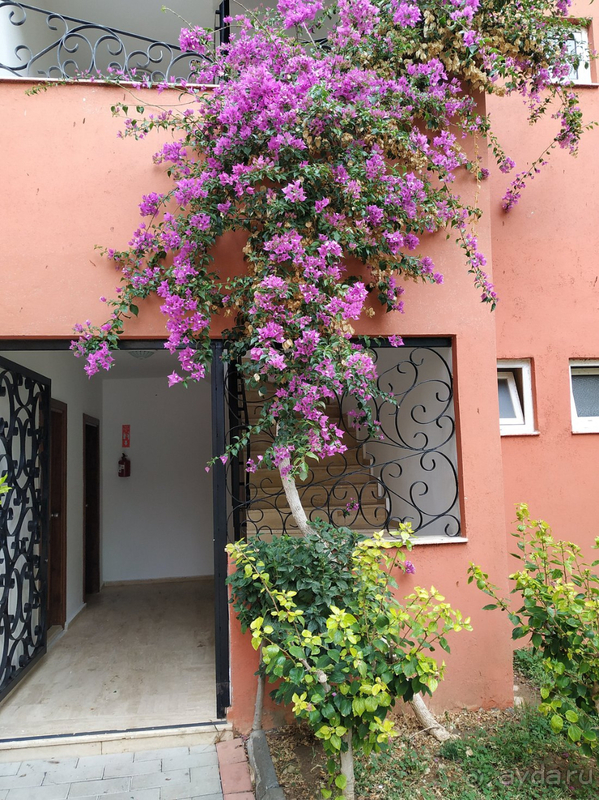 В отель Armas Green Fugla Beach смело можно вернуться на отдых еще раз