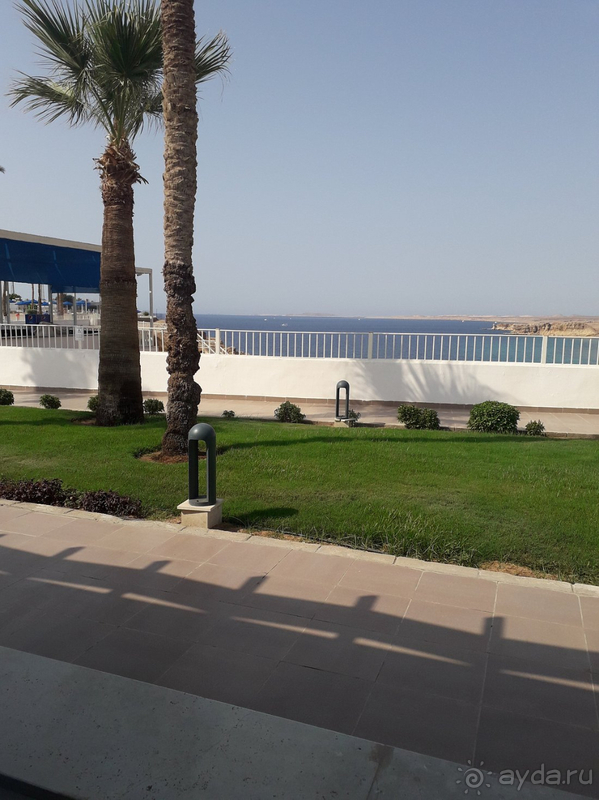фото Albatros Sharm Resort