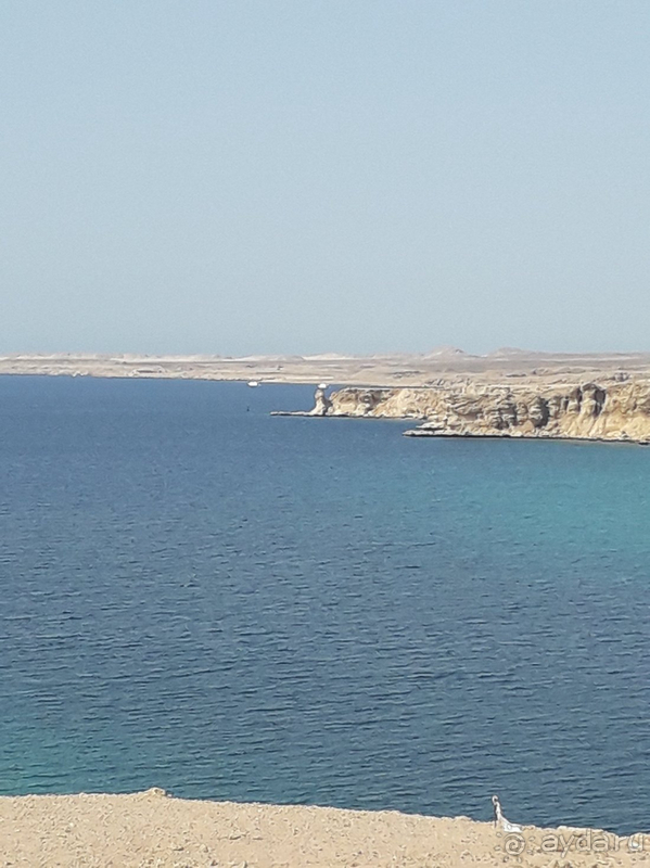 фото Albatros Sharm Resort