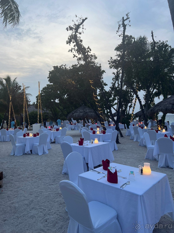 Мы в восторге от всего! Мы в восторге от всего!