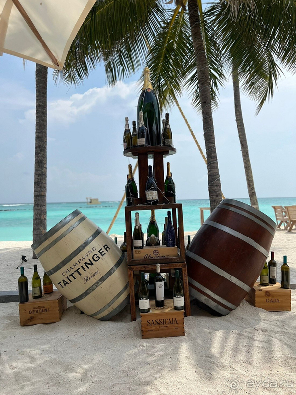  Мы в восторге от всего! 