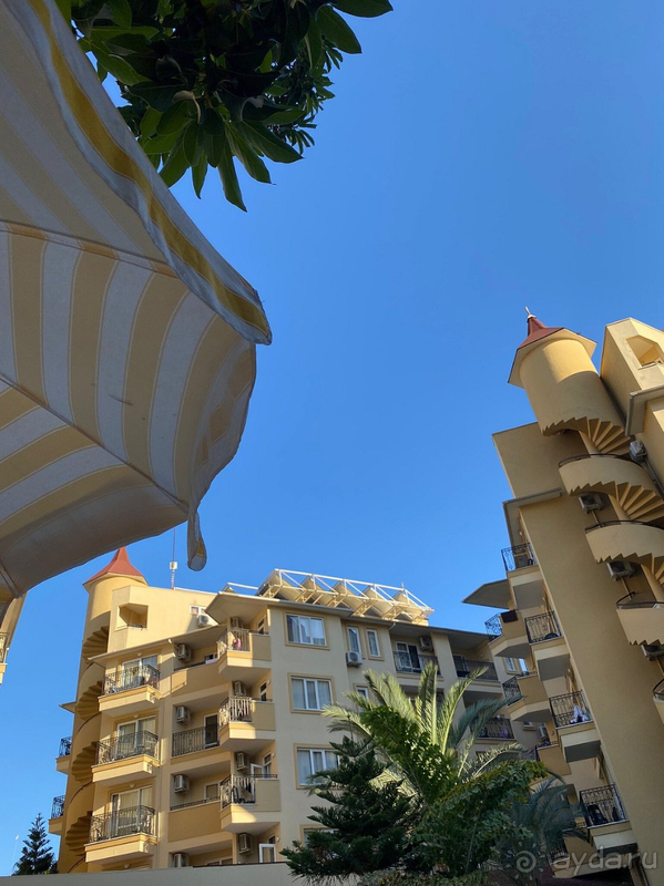 Вернулась бы я в отель Kleopatra Royal Palm? Однозначно да!