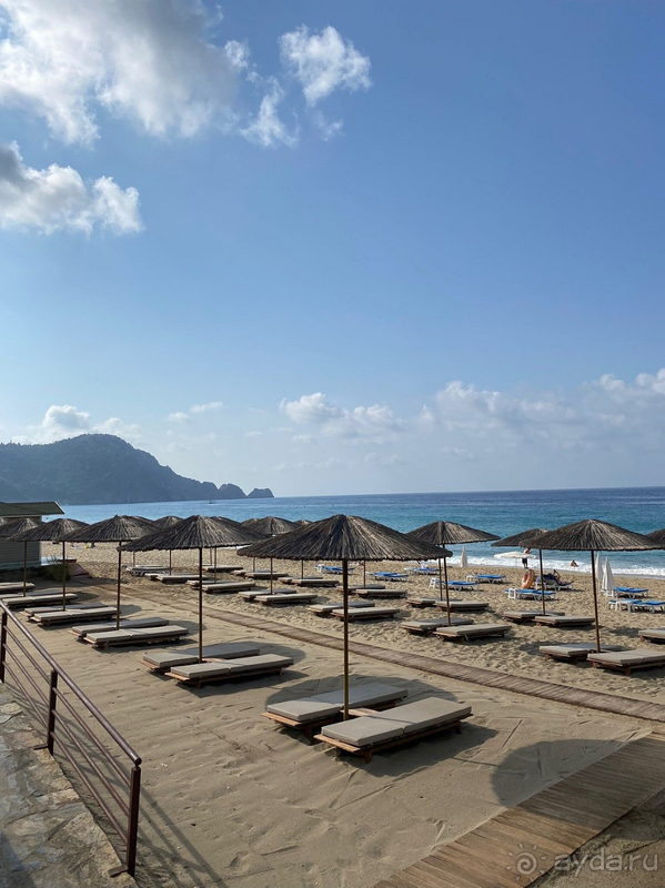 Вернулась бы я в отель Kleopatra Royal Palm? Однозначно да!