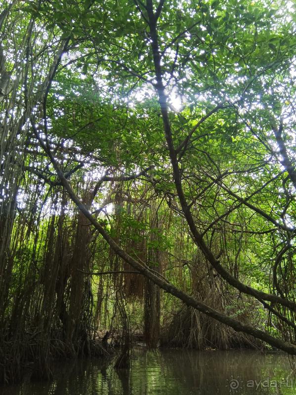 Если ехать ли на Шри-Ланку,то однозначно Oak Ray Haridra Beach Resort