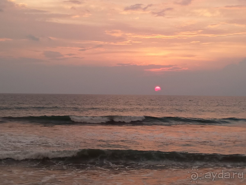 Если ехать ли на Шри-Ланку,то однозначно Oak Ray Haridra Beach Resort