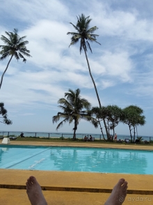 Если ехать ли на Шри-Ланку,то однозначно Oak Ray Haridra Beach Resort
