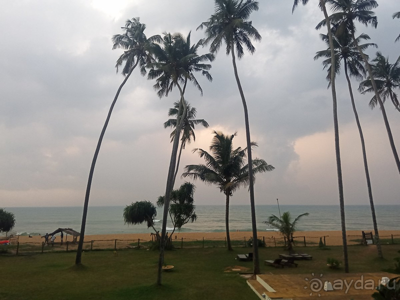 Если ехать ли на Шри-Ланку,то однозначно Oak Ray Haridra Beach Resort