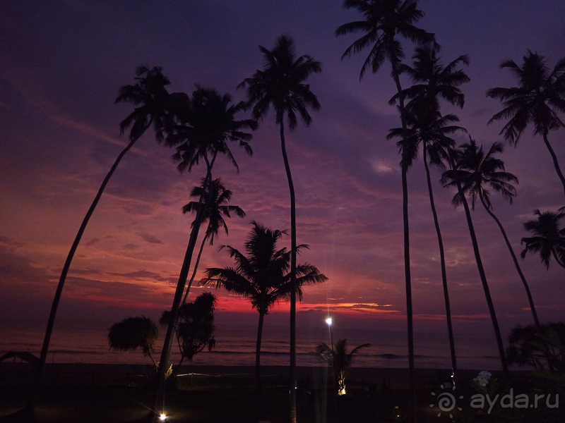Если ехать ли на Шри-Ланку,то однозначно Oak Ray Haridra Beach Resort