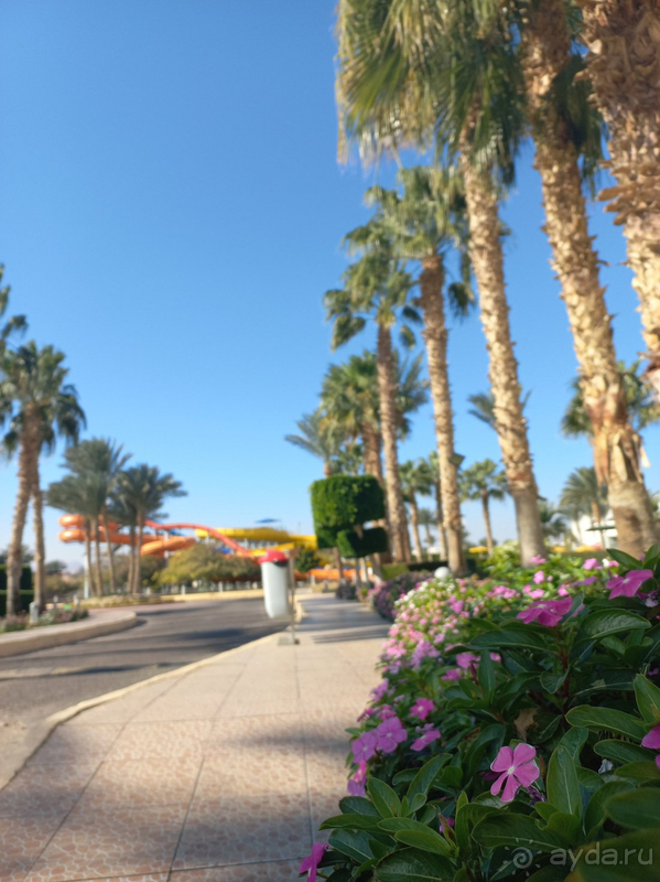 Супер большой отель с аквапарком. 