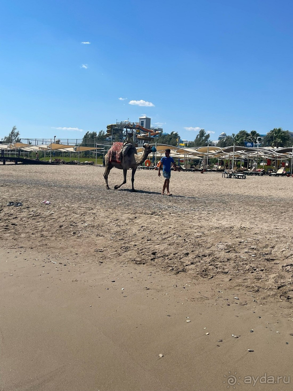 Цена-качество, это однозначно не про Cornelia Diamond Golf Resort & Spa