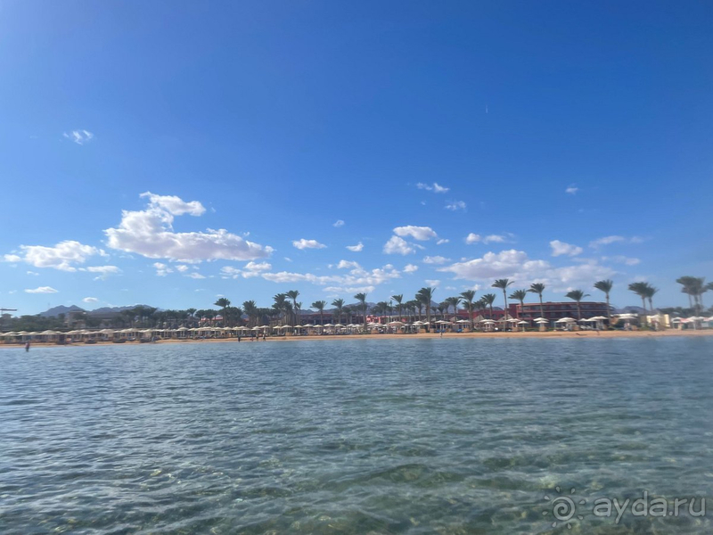 Отлично отдохнули в Египте