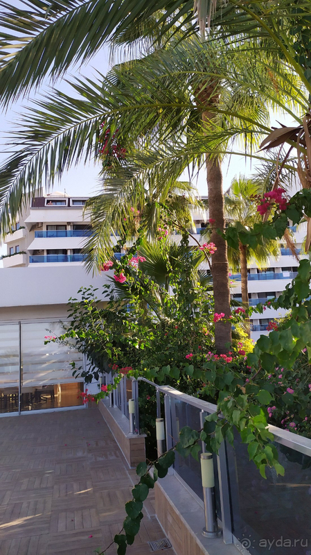 Хороший отель в Алании