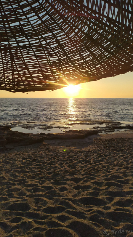 Хороший отель в Алании