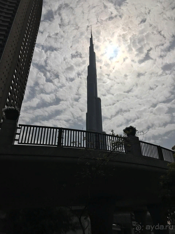 Al Murooj в Дубае, хороший отель