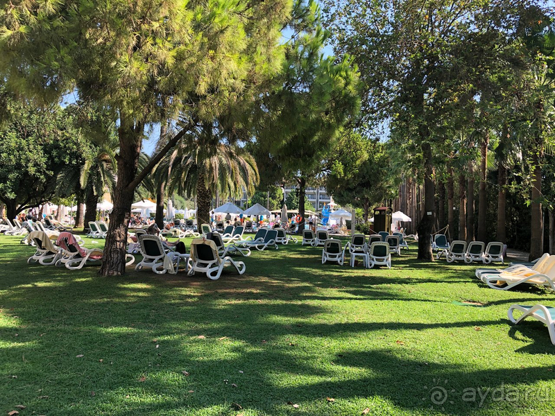 Всё в отеле отлично. Проблемы только с входом в море.