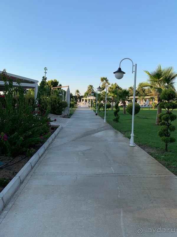 Отличный сервис!