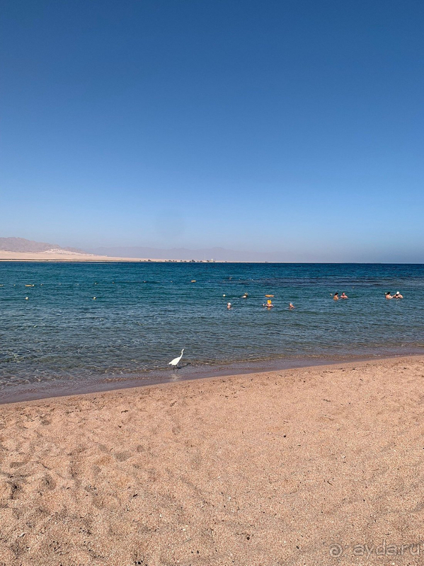 Очень достойный отель.