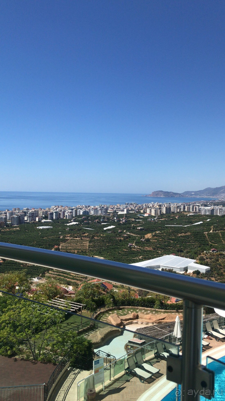 Вернулась бы я в данный отель? Однозначно да!