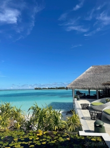 Остались в полном восторге!