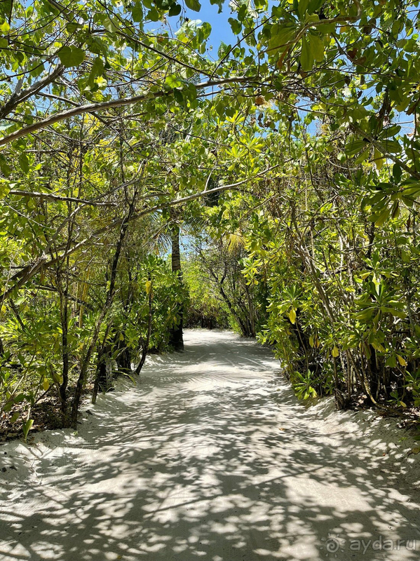 Остались в полном восторге!