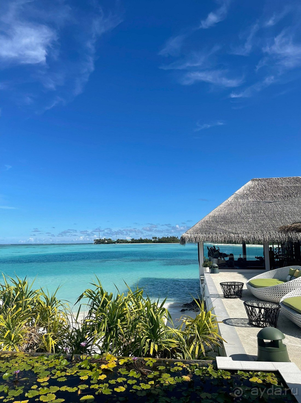 Остались в полном восторге!