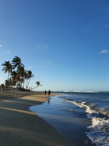 Место великолепное во всех отношениях!