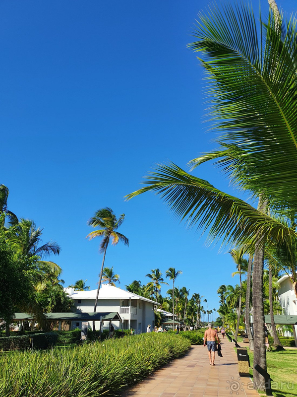 Место великолепное во всех отношениях!