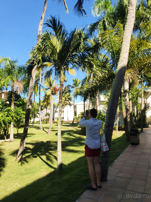 Место великолепное во всех отношениях!