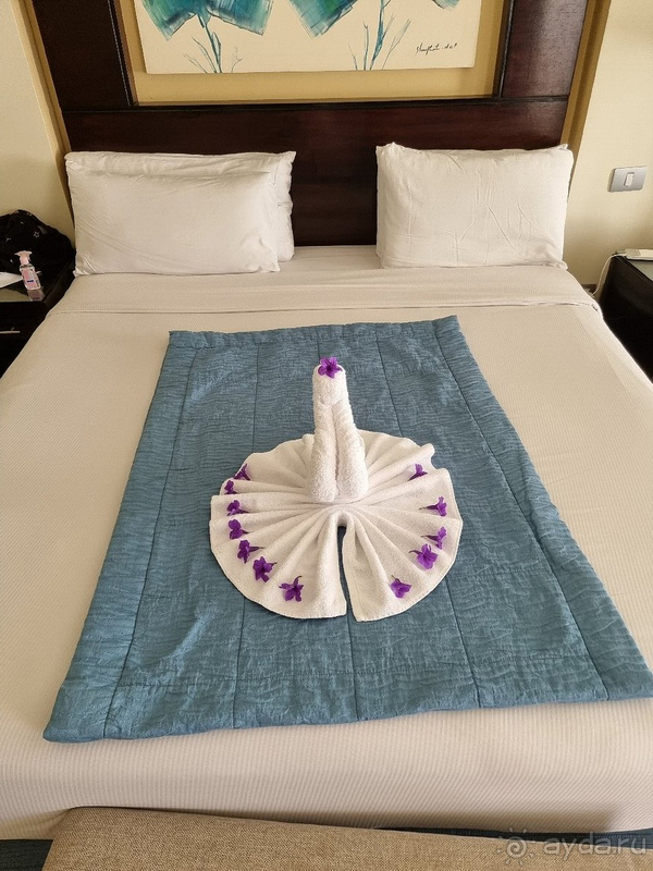 Мы в восторге! 