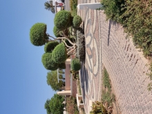 Мы в восторге! 