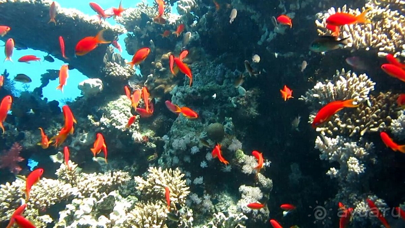 Мы в восторге! 