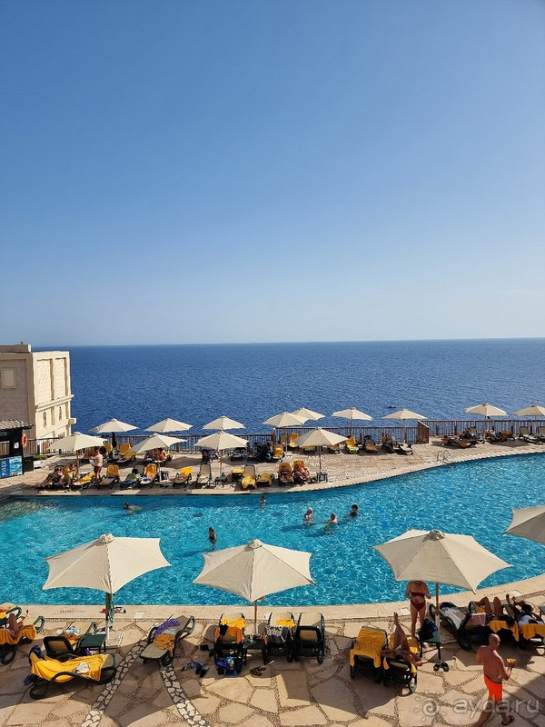 Мы в восторге! 