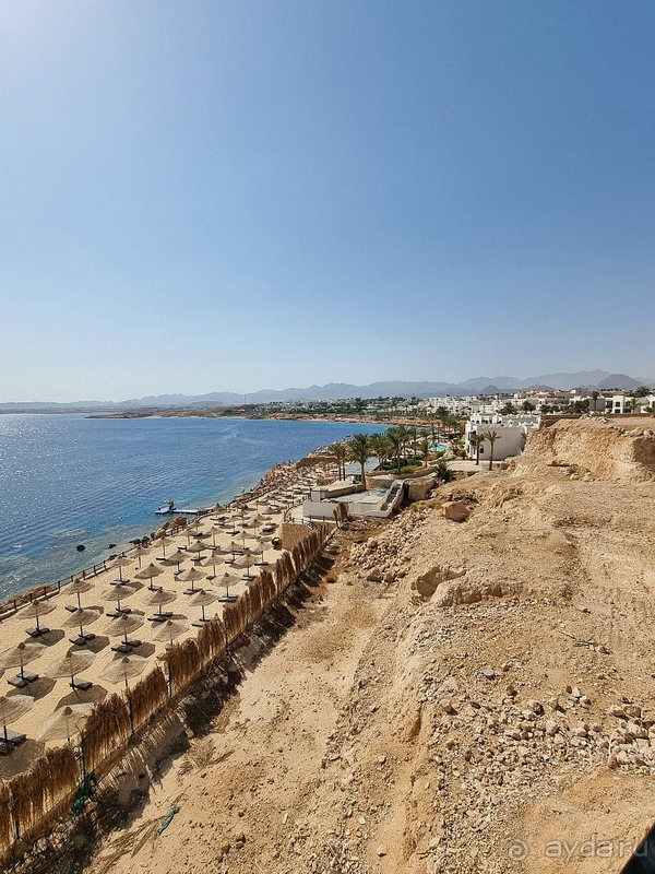 Мы в восторге! 