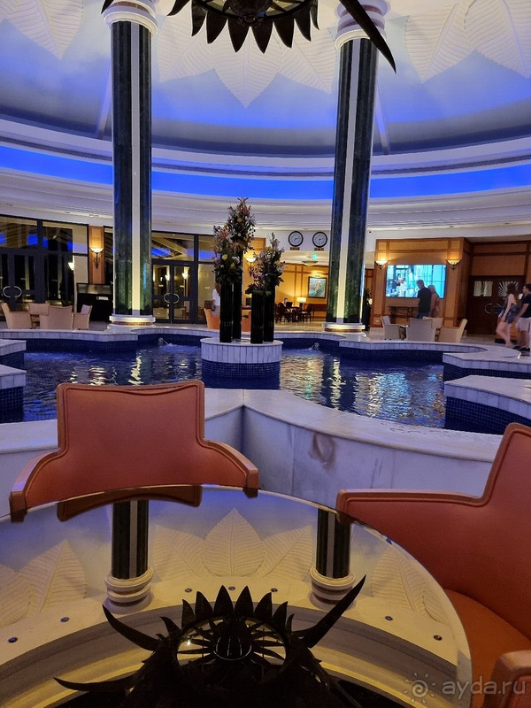 Мы в восторге! 