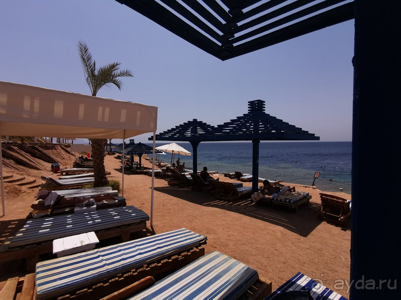 Отдых в Grand Oasis Resort