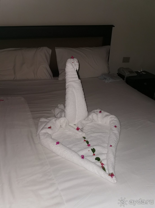 Отдых в Grand Oasis Resort