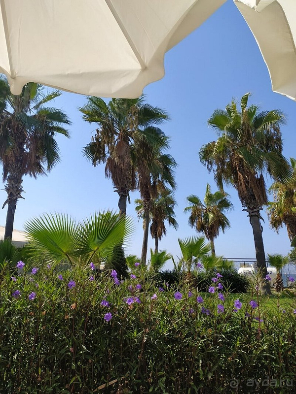 В целом - нормально, но ещё раз сюда бы не приехала.