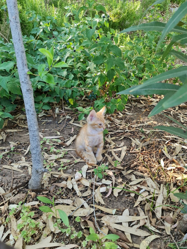 Наш отпуск в Бодруме