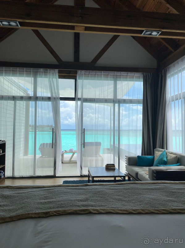 Movenpick оправдал все ожидания на 100%.